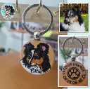 médailles chiens 3.webp