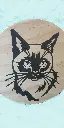 chat.webp